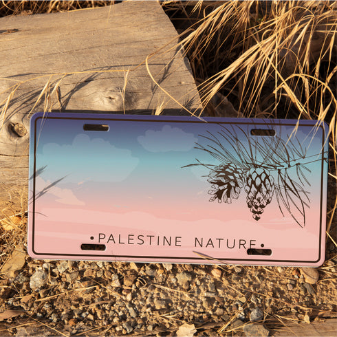 Car Plate - Pine
